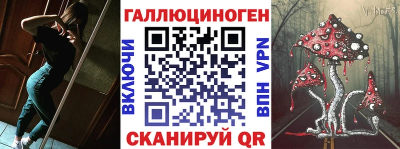 Псилоцибиновые грибы Psilocybine cubensis  купить  цена  Фатеж 